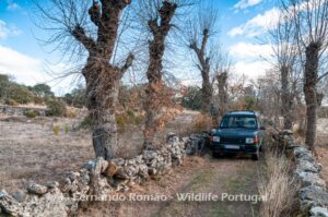 PRM6513-Edit