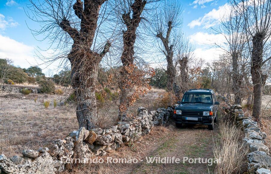 PRM6513-Edit