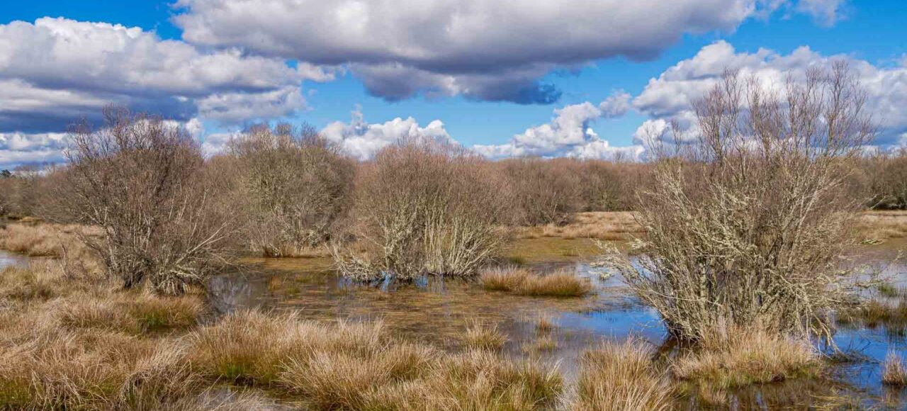 Paul de Toiroes rewilding area