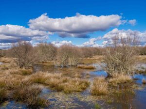 Paul de Toiroes rewilding area
