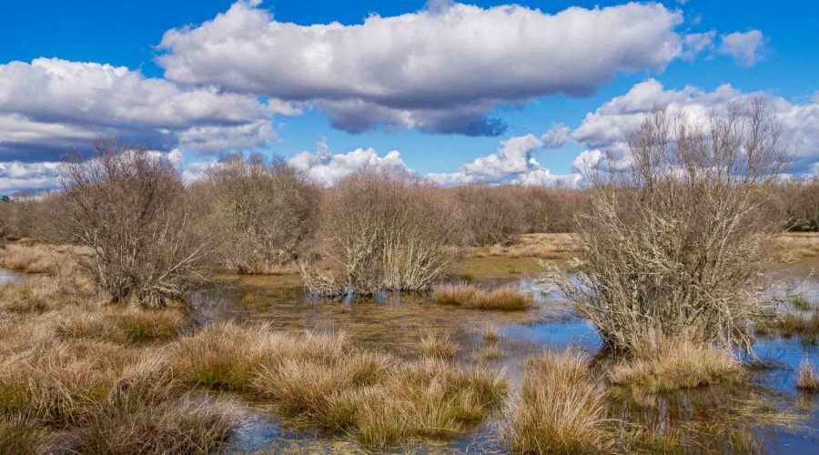 Paul de Toiroes rewilding area