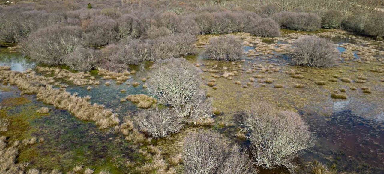 Paul de Toiroes rewilding area