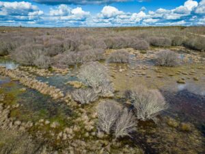 Paul de Toiroes rewilding area