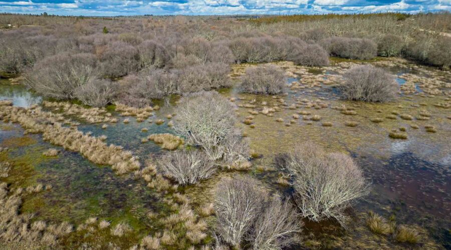 Paul de Toiroes rewilding area