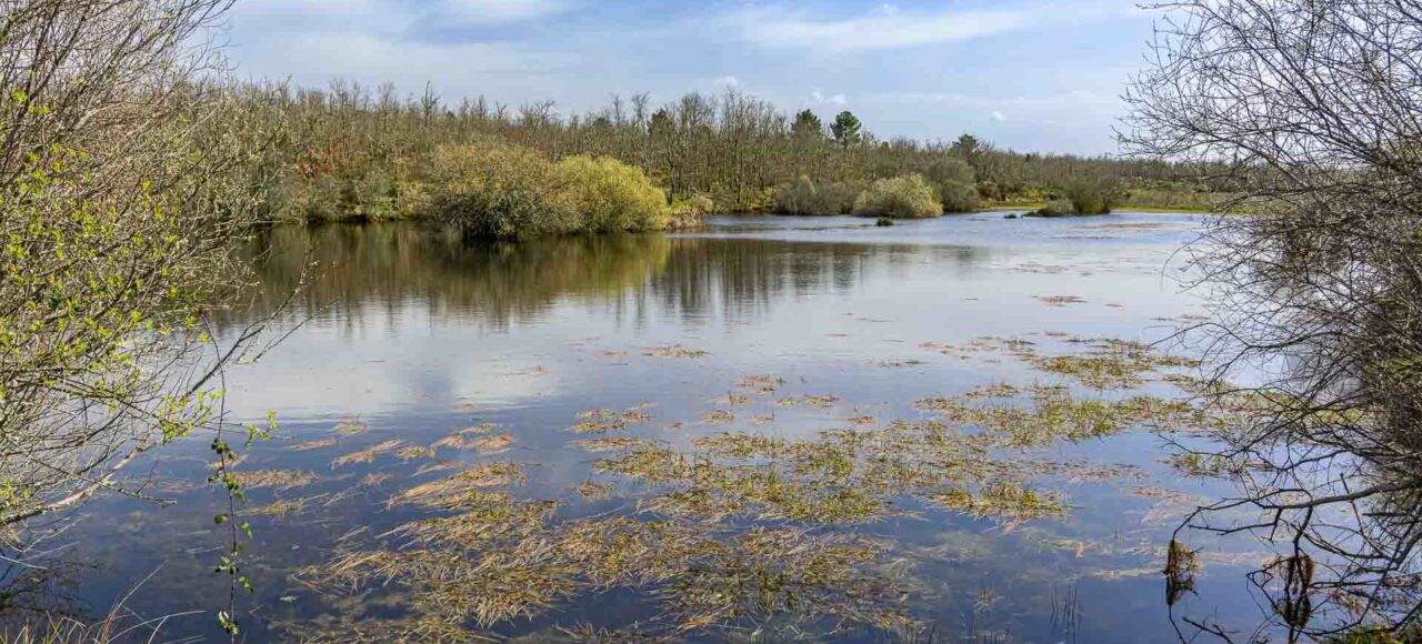 Paul de Toiroes rewilding area