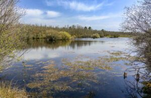 Paul de Toiroes rewilding area