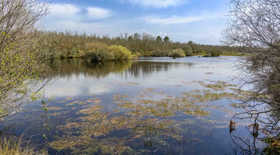 Paul de Toiroes rewilding area