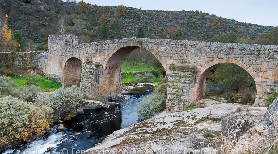 Ponte-de-Siqueiros_DSC_8193 Old bridge over Coa River