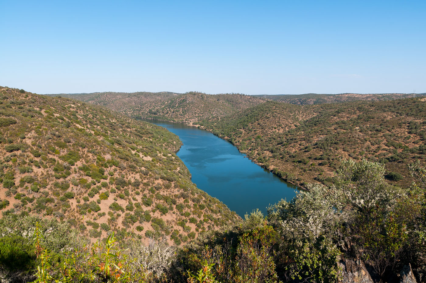 Birdwatching in Tejo International Natural Park