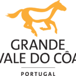 Grande_Vale_do_Coa_Cores