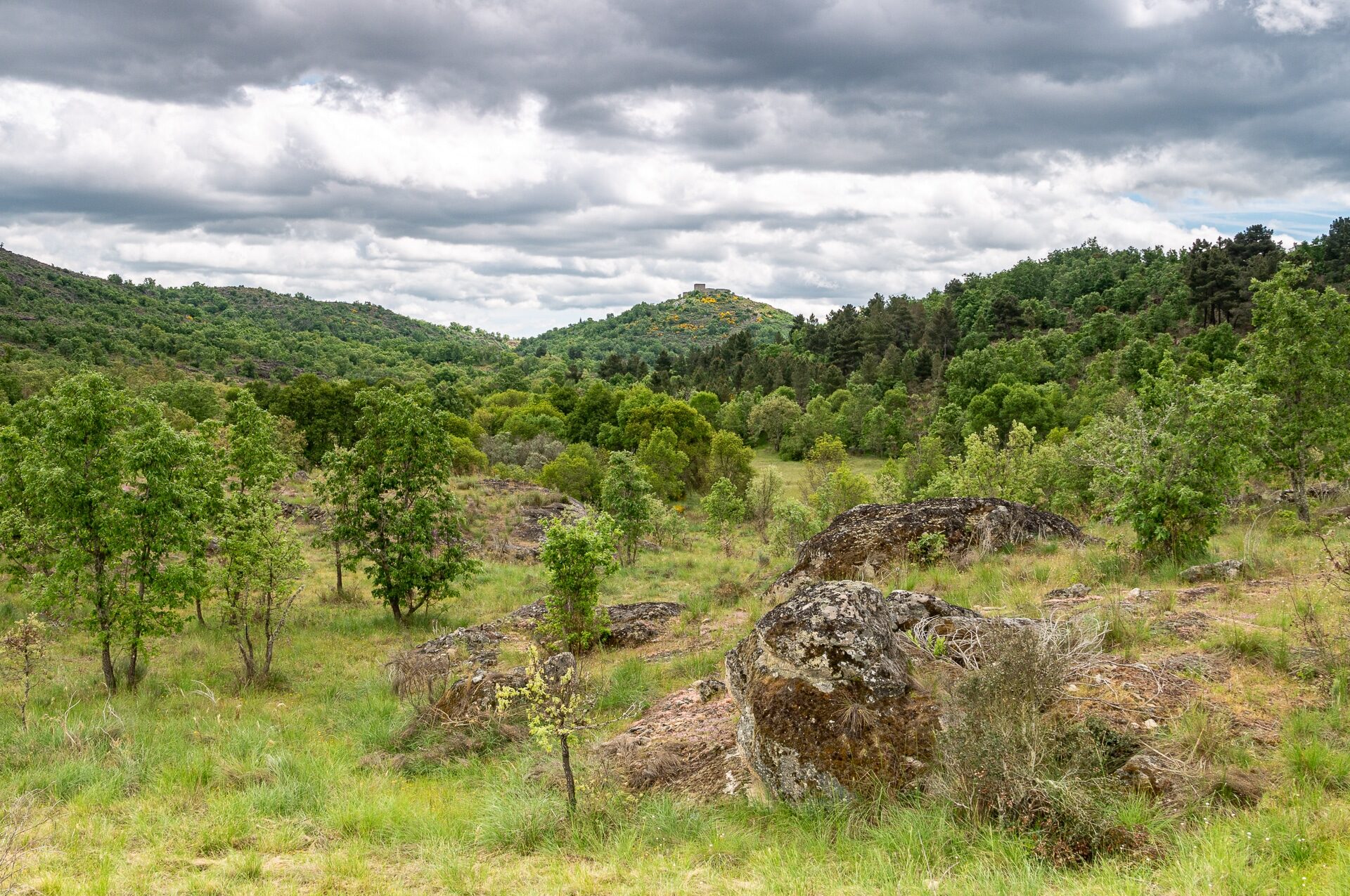 Vale Carapito rewilding area Vale Carapito rewilding area