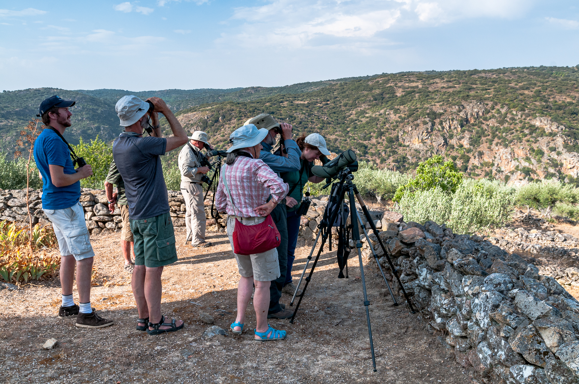 Birdwatching
