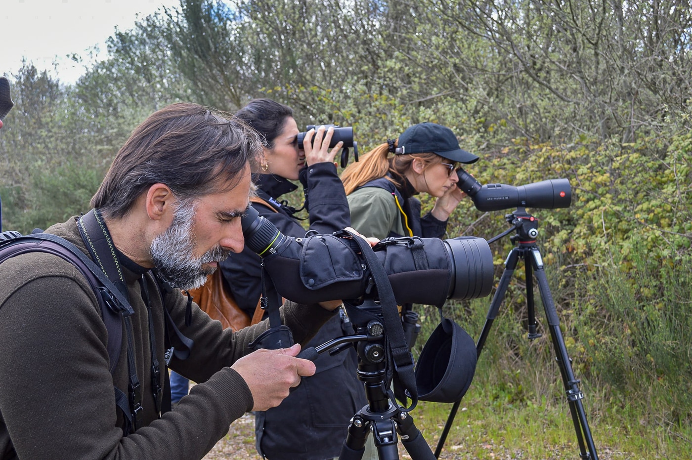 Birdwatching